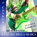 Sulle Ali Della Musica Vol. 1