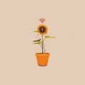 Seoul Vibes Pt.10