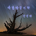 바람아 불어라