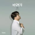 바라기