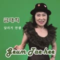 달리기 인생