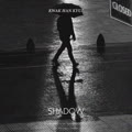 그림자 (SHADOW)