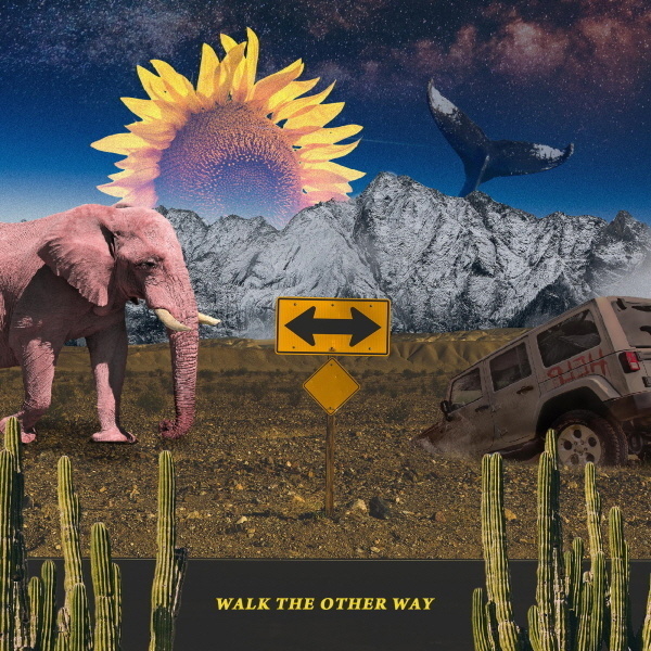 Walk The Other Way