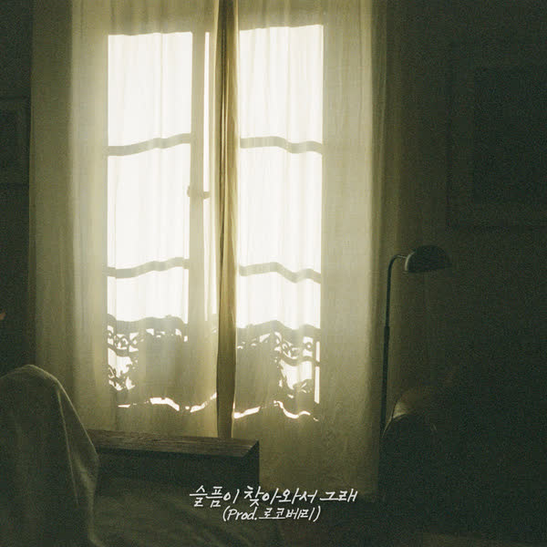 슬픔이 찾아와서 그래 (Prod. by 로코베리)