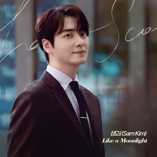 Like a Moonlight (나의 완벽한 비서 OST Part.3)
