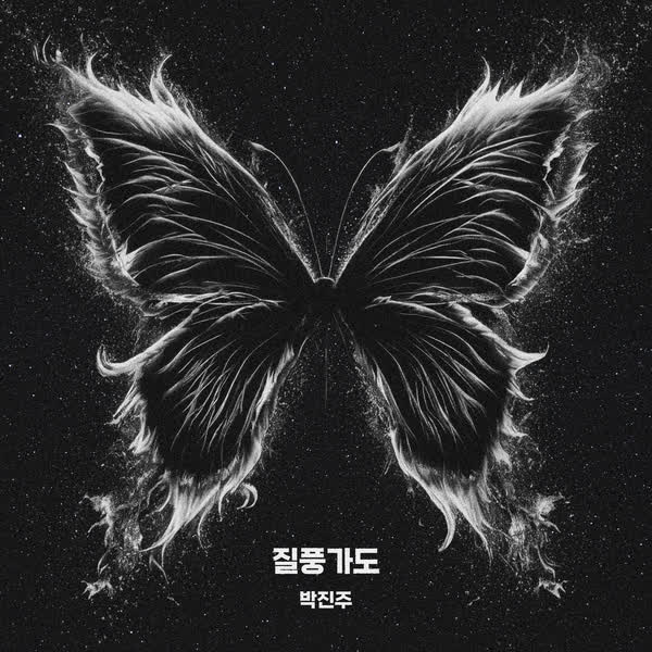 질풍가도