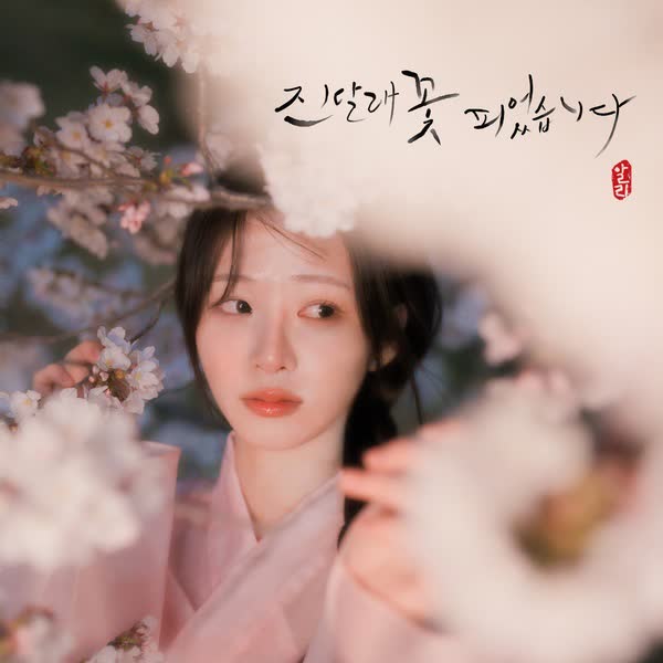 진달래꽃 피었습니다